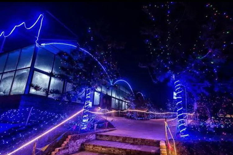 “印象龙安”大型灯光旅游园